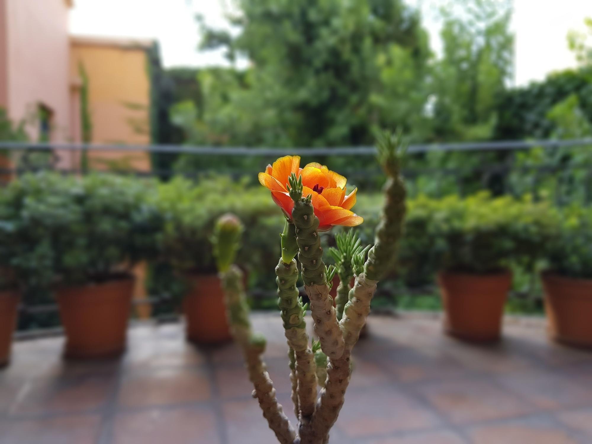 Legado Mitico Salta Hotel Boutique Екстер'єр фото